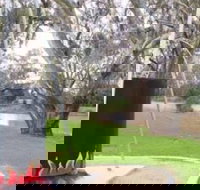 Trangie Big Billy - Tourism Brisbane