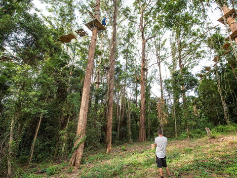 TreeTop Challenge - Sunshine Coast - Tourism Brisbane 1