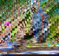 Wagirra Trail and Yindyamarra Sculpture Walk - Tourism Brisbane