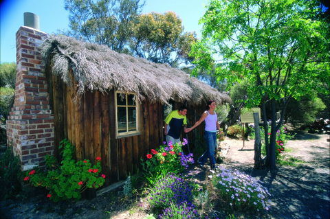 Wagin - Tourism Brisbane 1