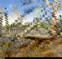 Wandoan - Tourism Brisbane