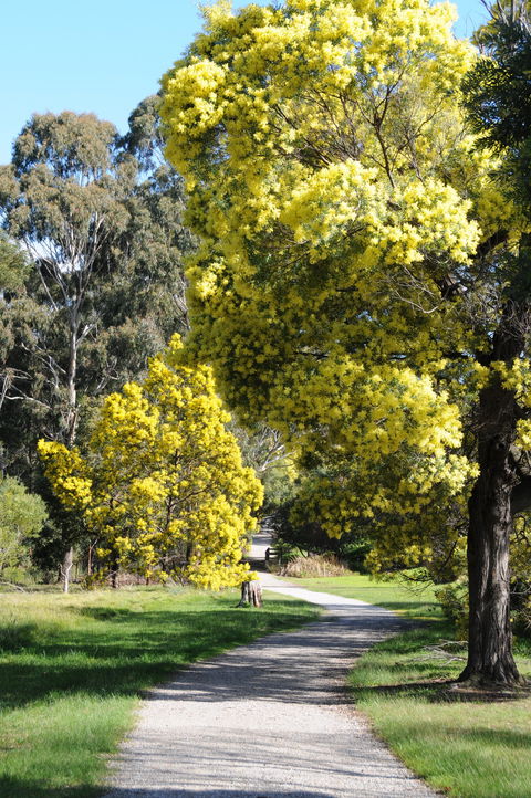 Wattle Park - Tourism Brisbane 0