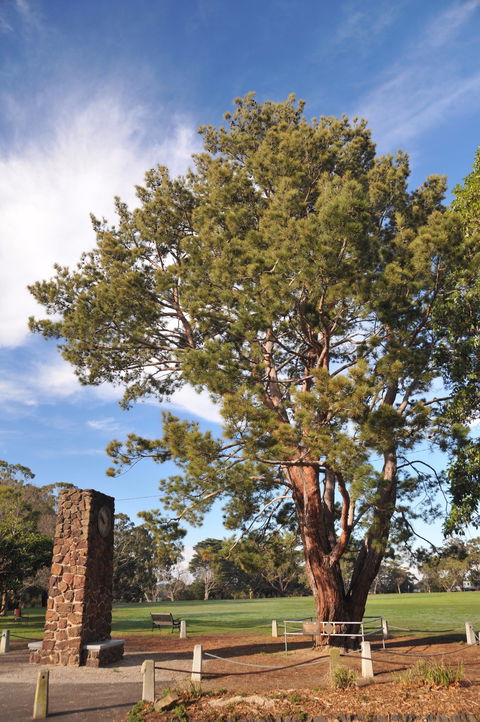 Wattle Park - Tourism Brisbane 2