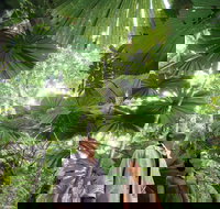 Wet Tropics Rainforest - Tourism Brisbane