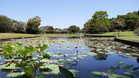 Anderson Park Botanic Gardens - Tourism Brisbane 0