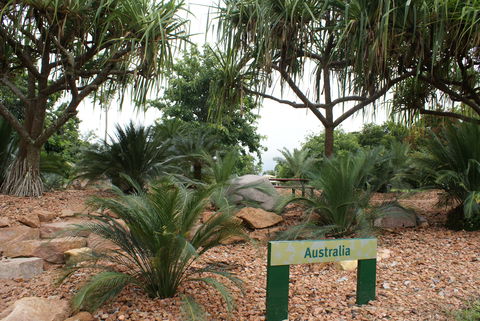 Anderson Park Botanic Gardens - Tourism Brisbane 2