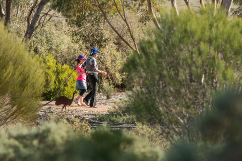 Australian Arid Lands Botanic Garden - Tourism Brisbane 0