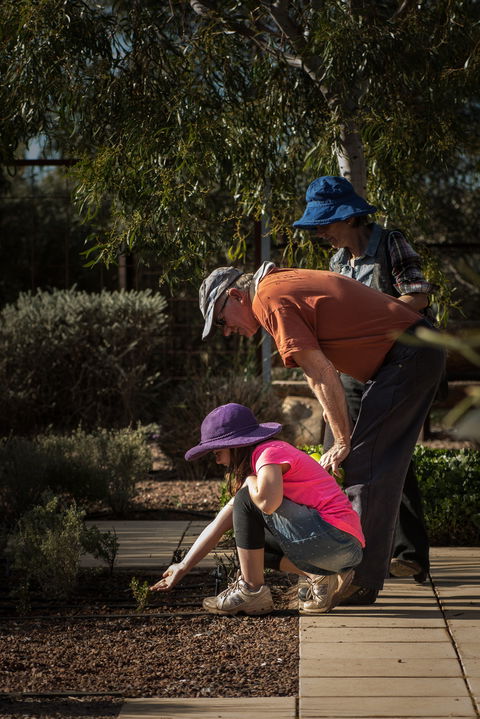 Australian Arid Lands Botanic Garden - Tourism Brisbane 1