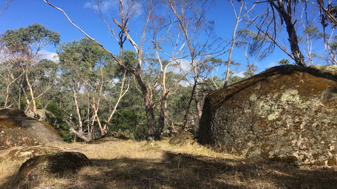 Bailey's Rocks - Dergholm State Park - Brisbane Tourism 0
