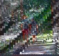 Banksia Track Burrum Coast National Park