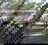 Bidgee Riverside Trail  - Hay Nature Walk - Brisbane Tourism