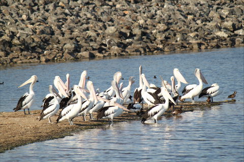 Bjelke-Petersen Dam - Tourism Brisbane 2