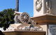 Boer War Memorial And Park, Allora - thumb 0