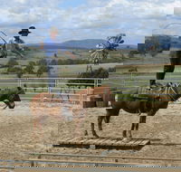 Boggy Creek Show - Tourism Brisbane