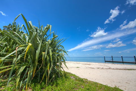 Bongaree Walkabout - Tourism Brisbane 0