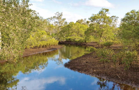 Canoe Evans River Paddle Route - Tourism Brisbane 0