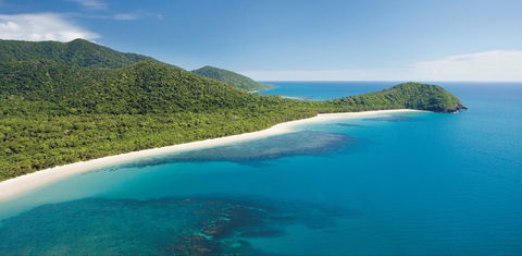 Cape Tribulation, Daintree National Park - Tourism Brisbane 0