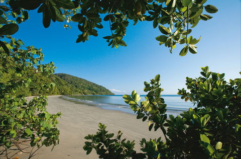 Cape Tribulation, Daintree National Park - Tourism Brisbane 1