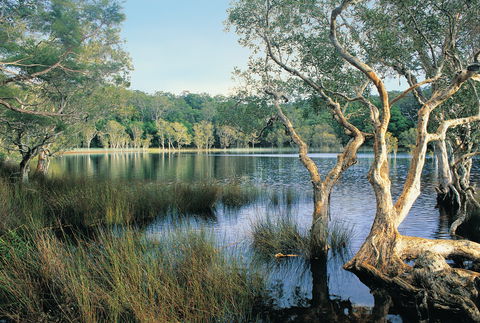 Cooloola, Great Sandy National Park - Tourism Brisbane 1