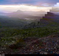 Cunninghams Gap and Spicers Gap Main Range National Park - Tourism Brisbane
