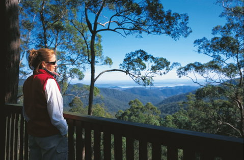 D'Aguilar National Park - Tourism Brisbane 0
