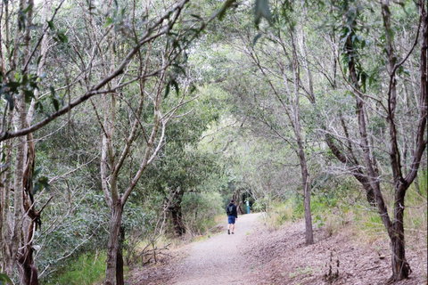 D'Aguilar National Park - Tourism Brisbane 2