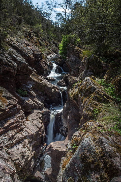 Dasher Falls - Tourism Brisbane 0