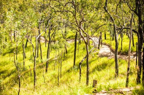 Davies Creek Mountain Bike Park - Tourism Brisbane 0