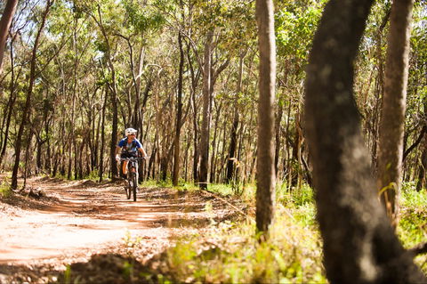 Davies Creek Mountain Bike Park - Tourism Brisbane 1