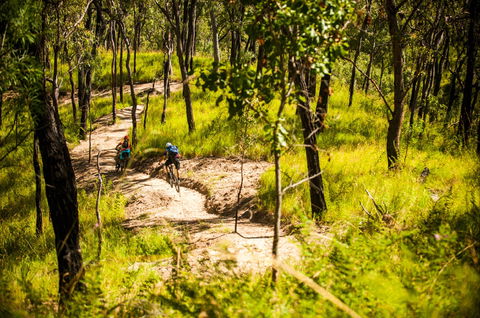 Davies Creek Mountain Bike Park - Tourism Brisbane 2