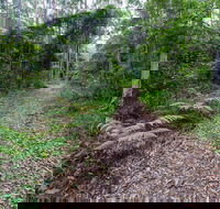 Double Wharf Trail - Brisbane Tourism