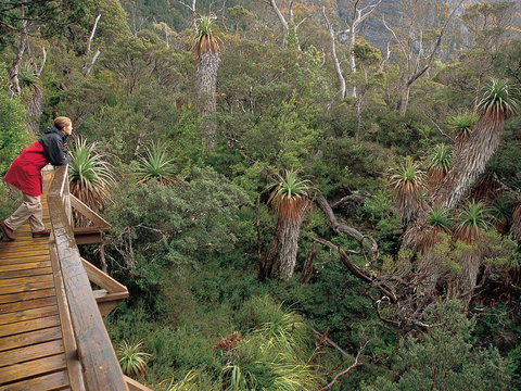 Dove Lake - Brisbane Tourism 1