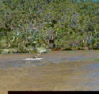 Fitzpatrick Park - Tourism Brisbane