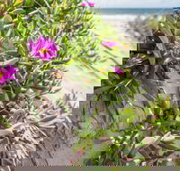 Fort Bribie - Brisbane 4u