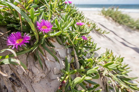 Fort Bribie - Tourism Brisbane 0