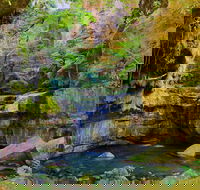 Glimpse of the Outback 5 Day Tour - Roma and Surrounds - Tourism Brisbane