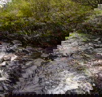 Gloucester River walking track - Tourism Brisbane