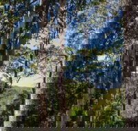 Hidden Treasure picnic area - Tourism Brisbane