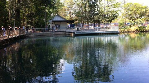 Howard Springs Nature Park - Tourism Brisbane 1