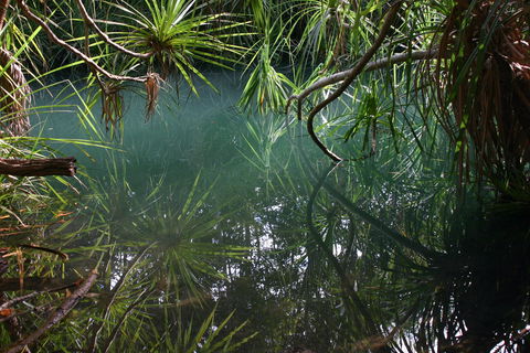 Howard Springs Nature Park - Tourism Brisbane 2