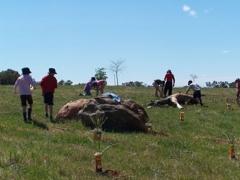 Jim Salmon  Wetland Education Site - Tourism Brisbane 0