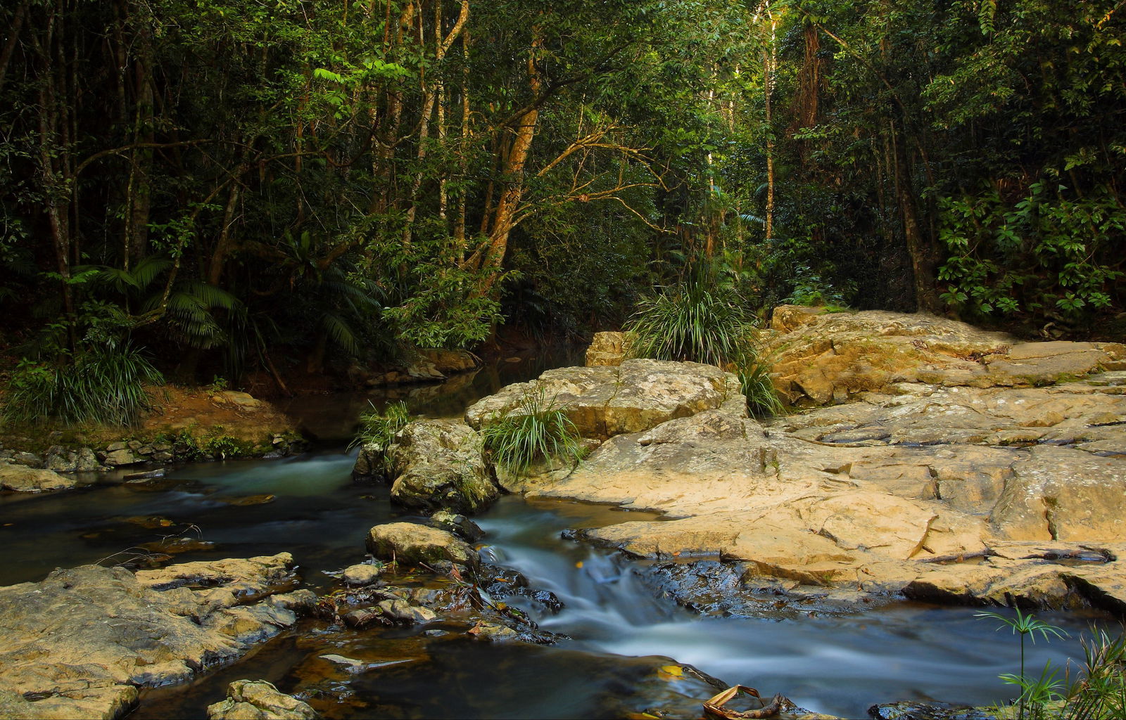 Tropical North Queensland QLD Brisbane Tourism