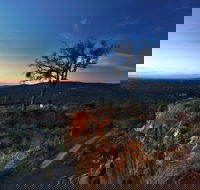 Kalamunda National Park - Tourism Brisbane