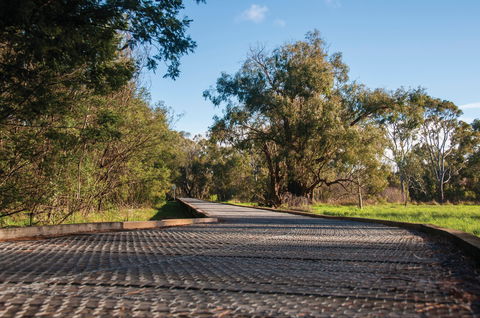 Koomba Park - Tourism Brisbane 1