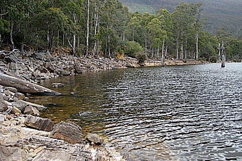 Lake Rowallan - Tourism Brisbane 1