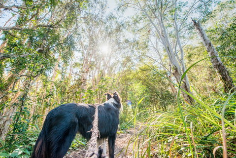Lamb Island (Nguderoo) - Tourism Brisbane 1