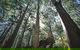 Leeuwin-Naturaliste National Park - Leeuwin - thumb 0