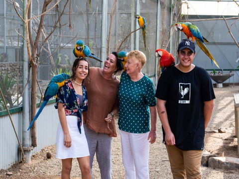 Maleny Botanic Gardens And Bird World - Brisbane Tourism 0