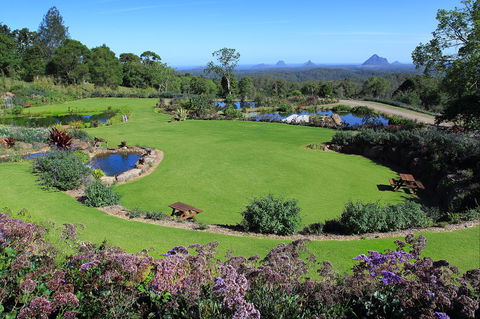 Maleny Botanic Gardens And Bird World - Brisbane Tourism 2