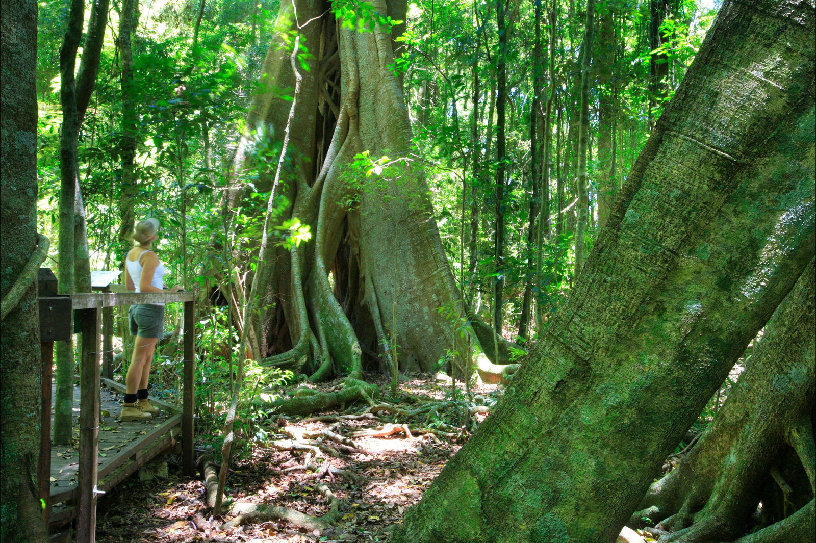Wootha QLD Brisbane Tourism